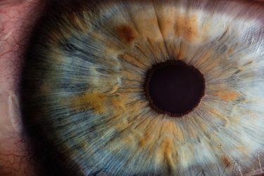 Cuenta atrás para el congreso de la Siodec con el ojo puesto en las terapias visuales
