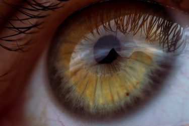 Johnson&Johnson empieza por Japón la venta de la lente de contacto que alivia las alergias oculares