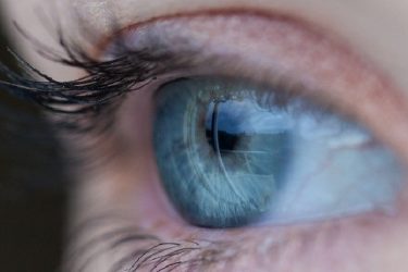 El CSIC investigará la relación entre la alimentación y las enfermedades oculares