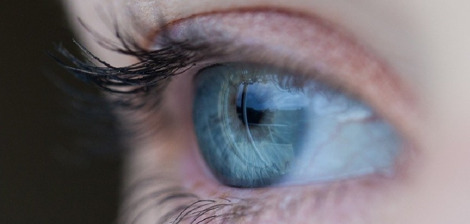 El CSIC investigará la relación entre la alimentación y las enfermedades oculares