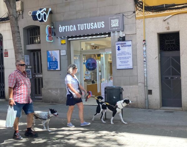 Las ventas de las ópticas en España crecen un 3.7% en 2024 y alcanza los 2.930 millones de euros