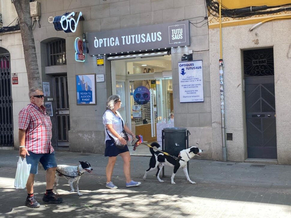 Las ventas de las ópticas en España crecen un 3.7% en 2024 y alcanza los 2.930 millones de euros