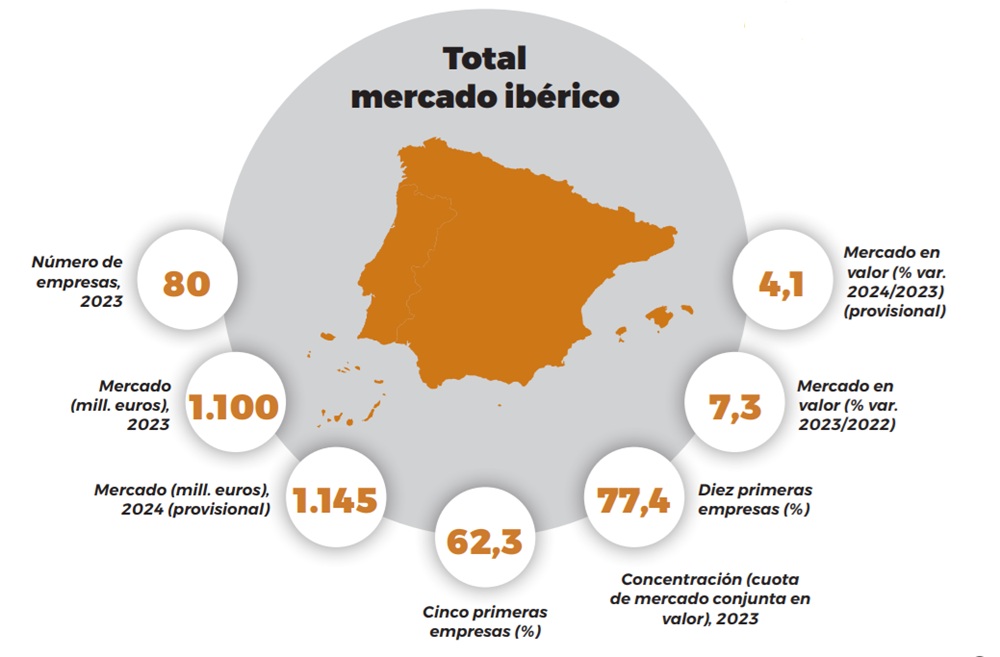 MERCADO SELL-IN DE LA ÓPTICA EN ESPAÑA Y PORTUGAL
