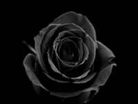 El sector óptico se une al duelo por el accidente de tren en Córdoba