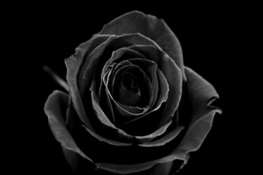 El sector óptico se une al duelo por el accidente de tren en Córdoba