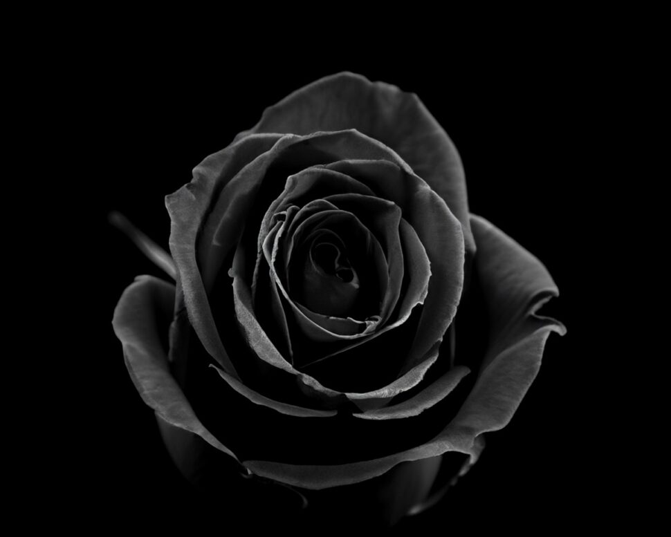 El sector óptico se une al duelo por el accidente de tren en Córdoba